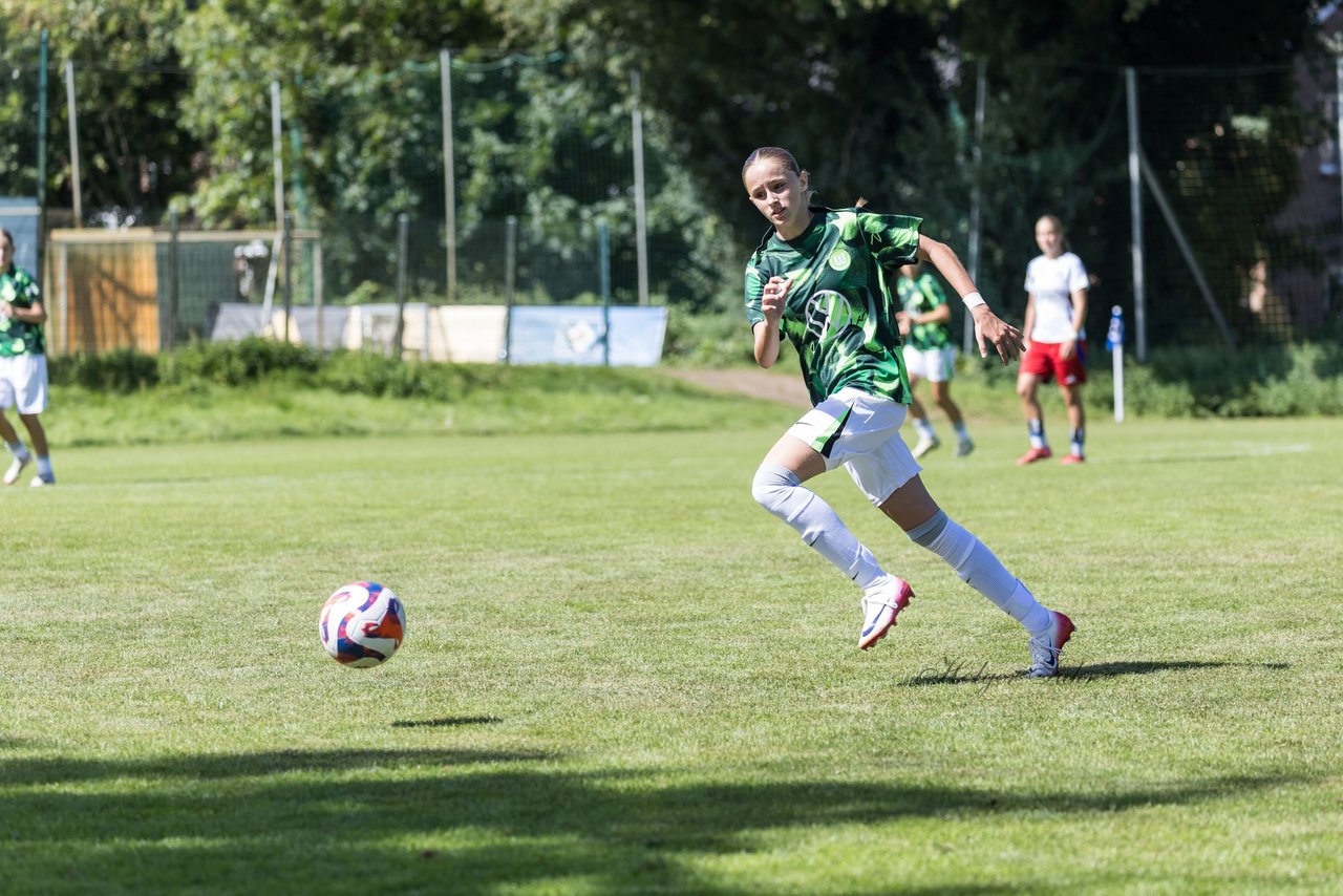 Bild 395 - wBJ Hamburger SV - VfL Wolfsburg : Ergebnis: 5:1